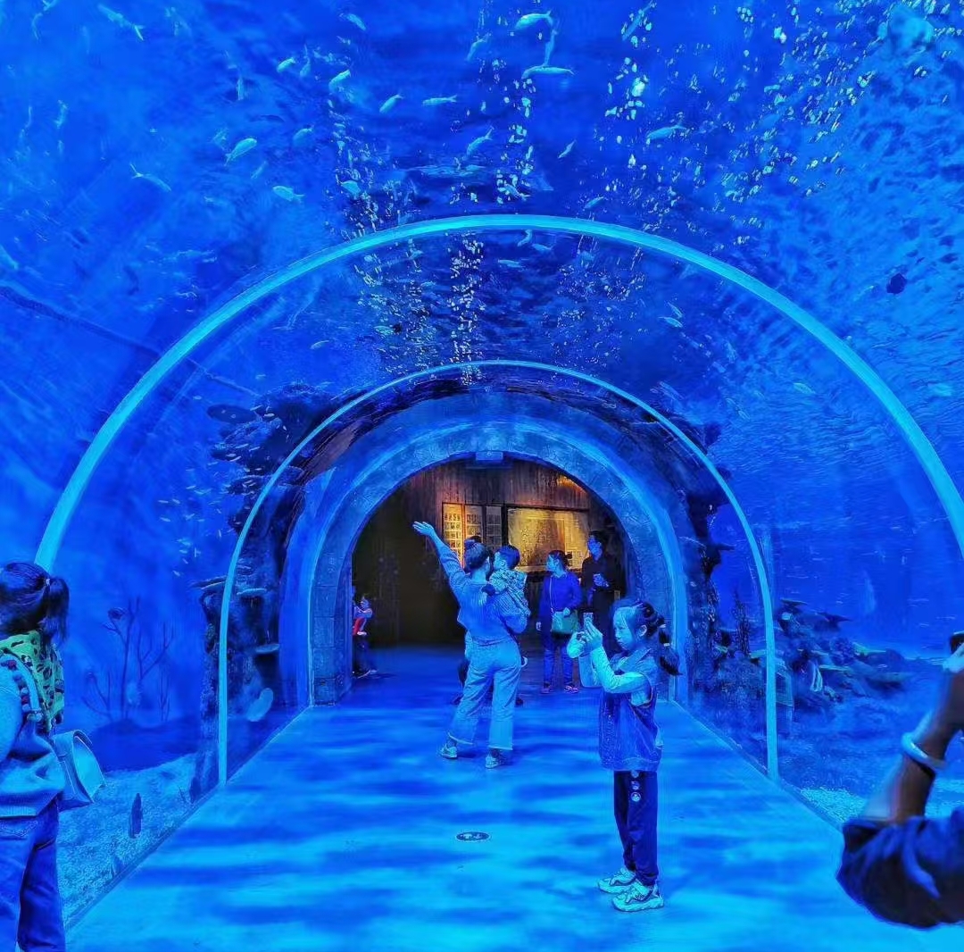 定制大型觀賞缸